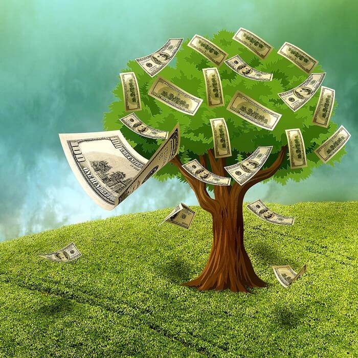 save money for your wedding; money tree, tree with money and leaves