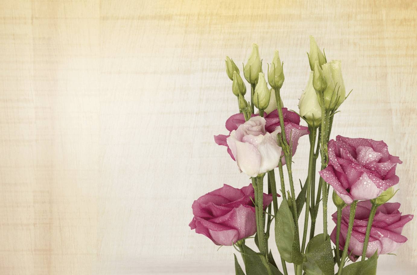 wedding website